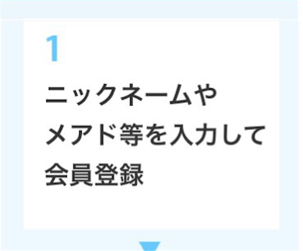 ニックネームやメアド等を入力して会員登録