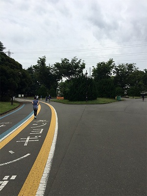 駒沢オリンピック公園　スケートパーク