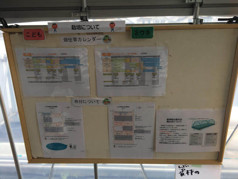 シェア畑　無料見学　家庭菜園　農業体験